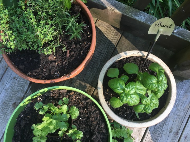 On Change and a&nbsp;Salad