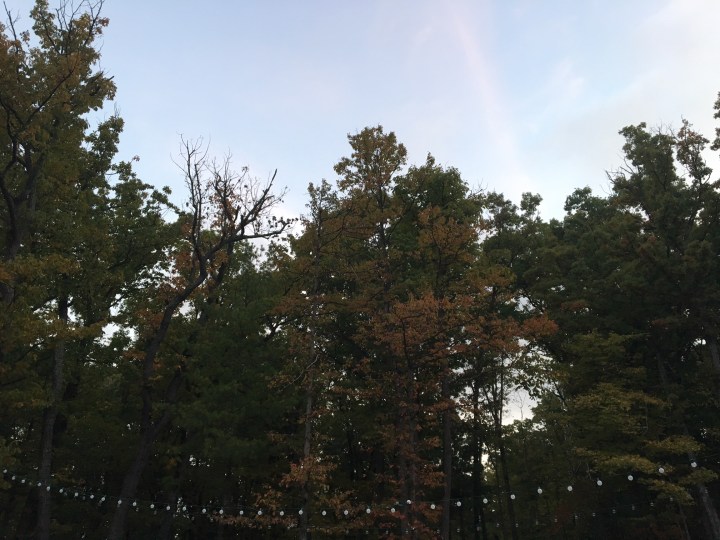 The Pursuit of&nbsp;Friendship