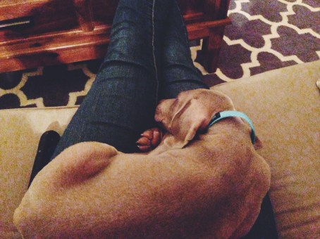 Processed with VSCOcam with f2 preset