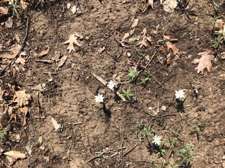 On Goodness &&nbsp;Grief