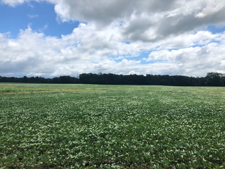 On Brevity &&nbsp;Seasons