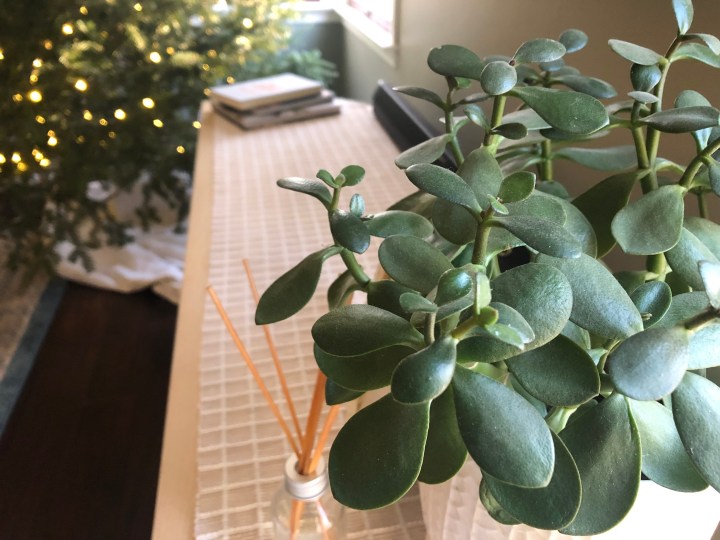 On Priorities &&nbsp;Peace