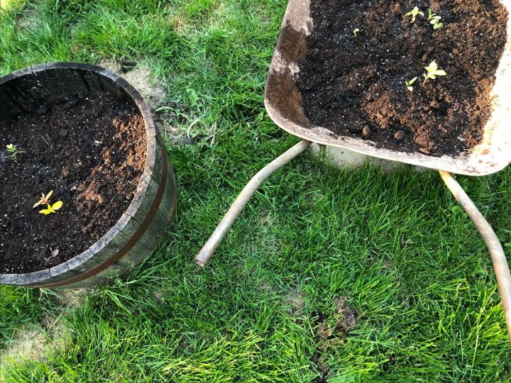 On Need &&nbsp;Submission