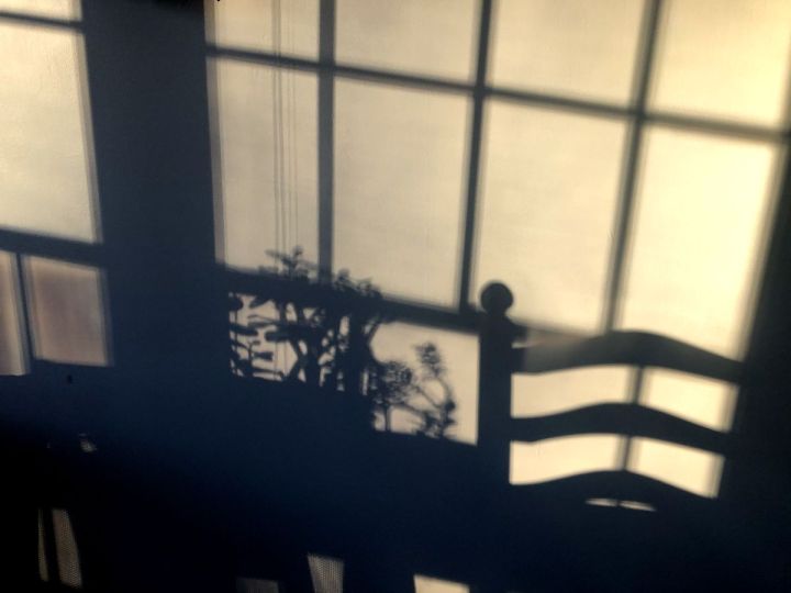 On Stewardship &&nbsp;Bodies