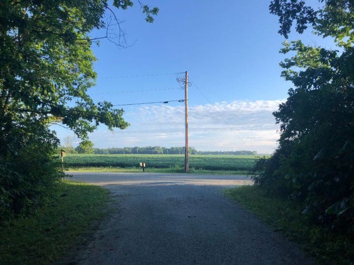 On Sight & Next&nbsp;Steps