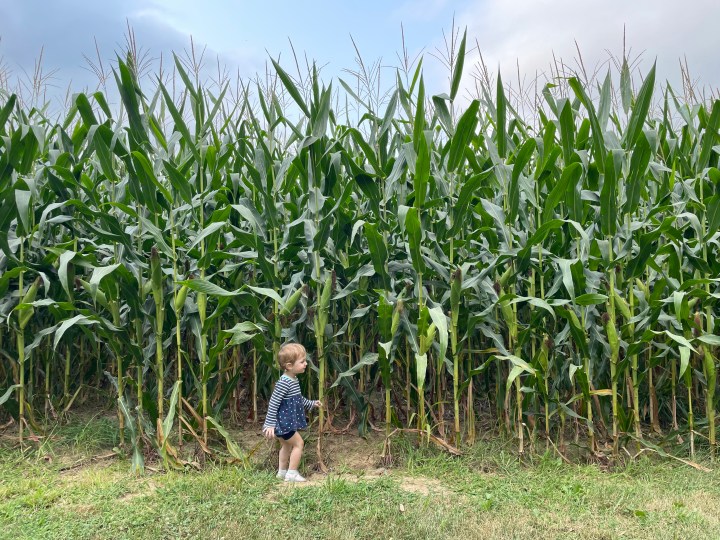 On Hiding & Being&nbsp;Found